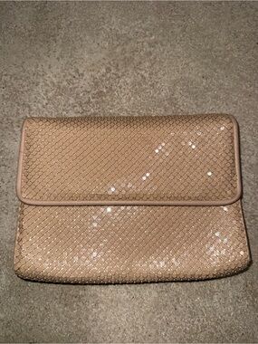 Whiting & Davis Nude Sequin Mesh Envelope Clutch